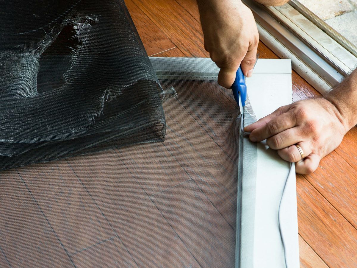 ScreenDoor_iStock_907768888